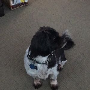 Meet your Posher, Martin